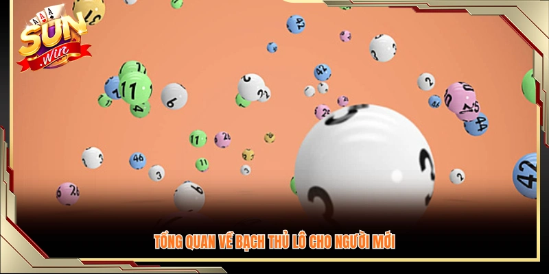 Giới thiệu cách soi bạch thủ lô để người chơi dễ hiểu